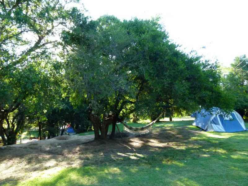 Camping La Mesada Alpa Corral Area de acampe
