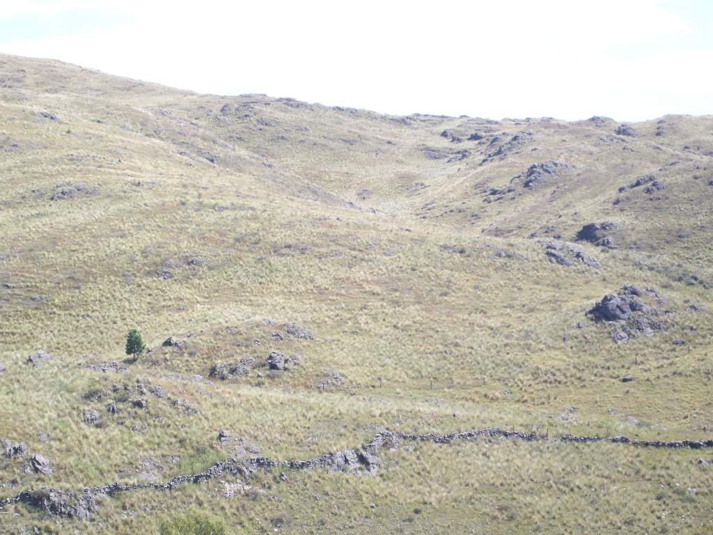 Pircas en Alpa Corral camino a las lagunitas 2 Pircas en Alpa Corral camino a las lagunitas 2